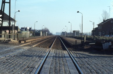 BAASRODE ZUID  81-719.jpg